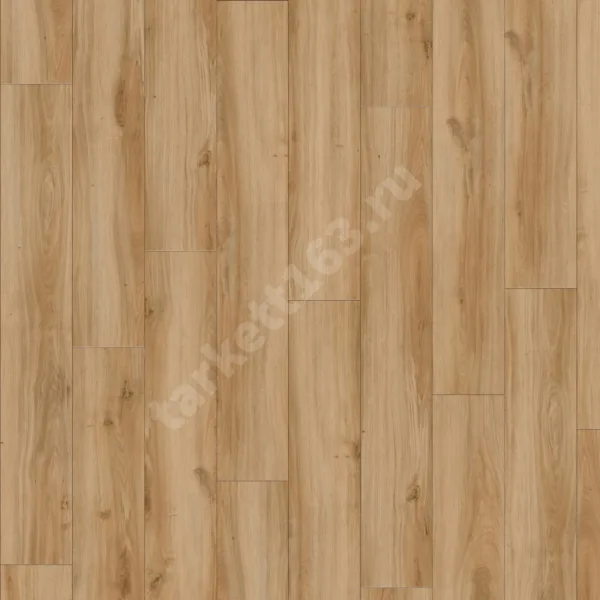 MODULEO ROOTS 0.4 Classic Oak 24837