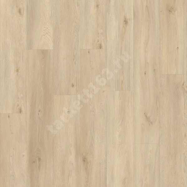 MODULEO ROOTS 0.55 Galtymore Oak 86237