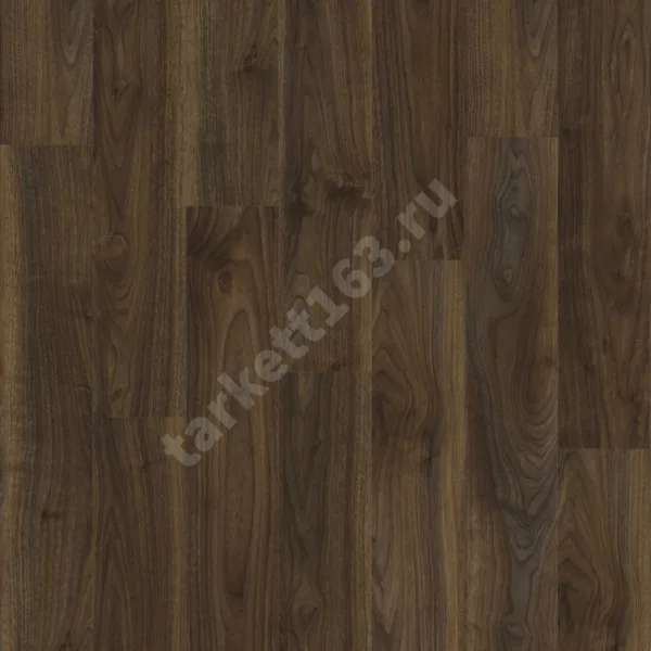 MODULEO ROOTS 0.55 English Walnut 20896