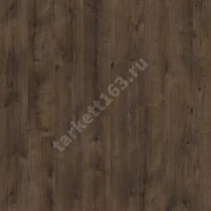 MODULEO ROOTS 0.55 Galway Oak 87863