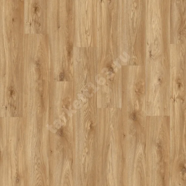 MODULEO ROOTS 0.55 Sierra Oak 58346