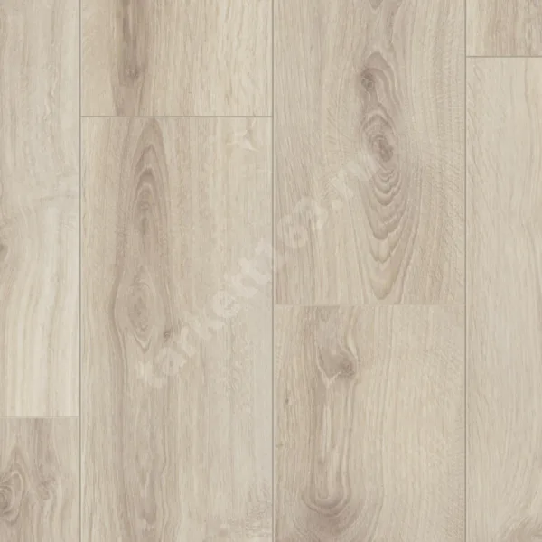 TIMBER BLACKWOOD ASTRID