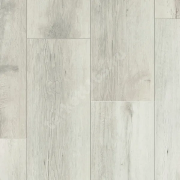 TIMBER BLACKWOOD FRANCES