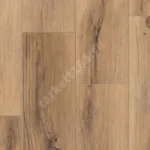 TIMBER BLACKWOOD ROALD