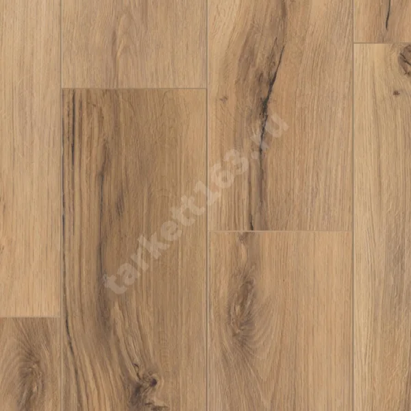 TIMBER BLACKWOOD ROALD