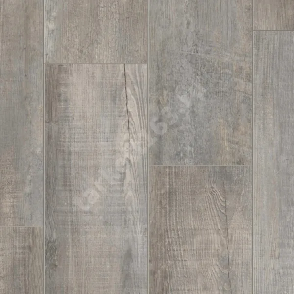 TIMBER BLACKWOOD WILHELM