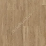 ELEMENT CLICK BISQUIT