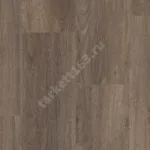 ELEMENT CLICK BROWNIE