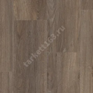 ELEMENT CLICK BROWNIE