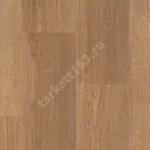 ELEMENT CLICK LATTE