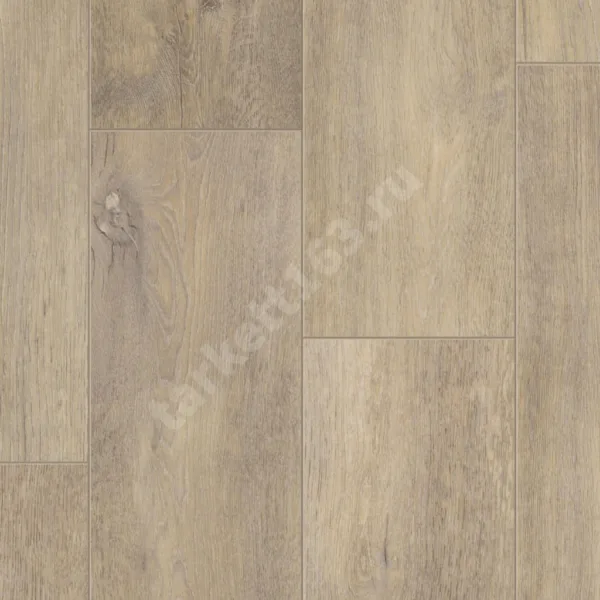TIMBER EASTWOOD ANTOINE