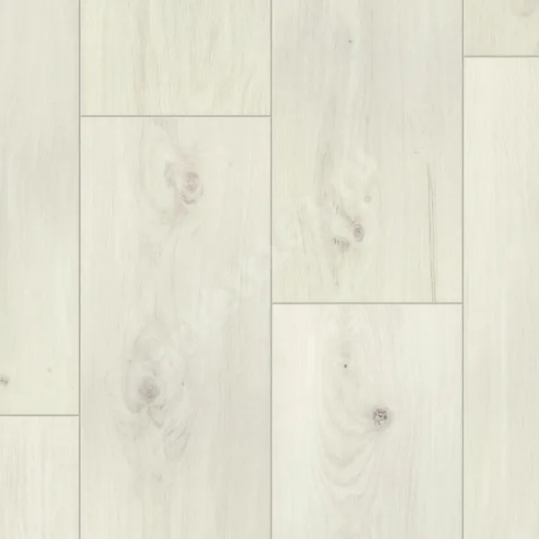TIMBER EASTWOOD DANIEL