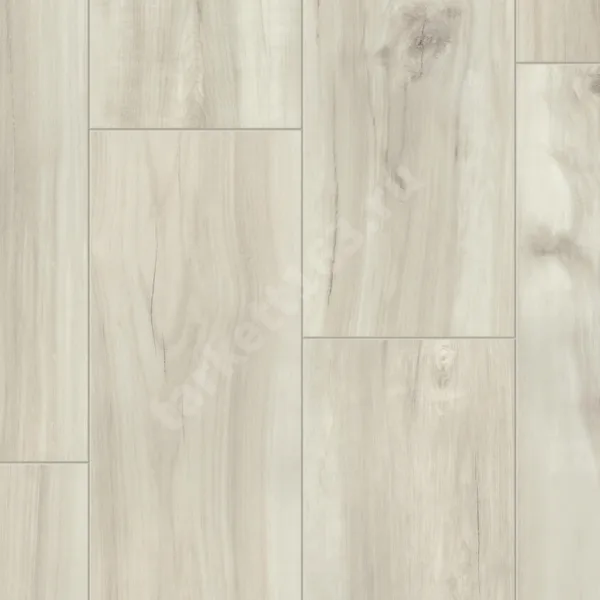 TIMBER EASTWOOD GIANNI