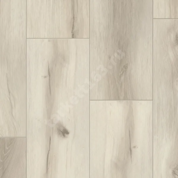 TIMBER EASTWOOD MAURICE