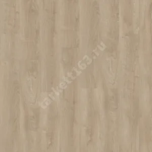 MODULEO NEXT ACOUSTIC 0.4 Silverleaf Oak 311