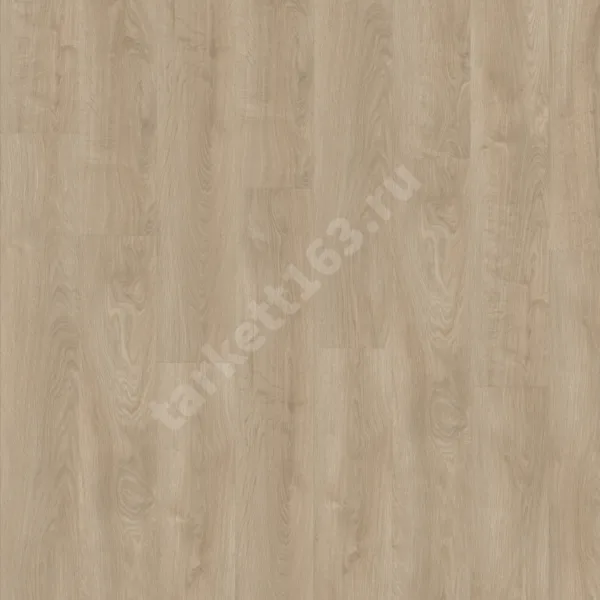 MODULEO NEXT ACOUSTIC 0.4 Silverleaf Oak 311