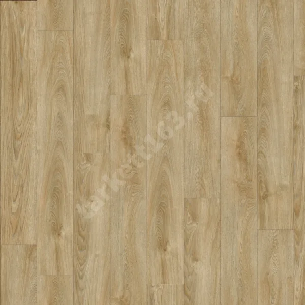 MODULEO NEXT ACOUSTIC 0.4 Valley Oak 240