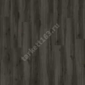 MODULEO NEXT ACOUSTIC 0.4 Tradition Oak 890