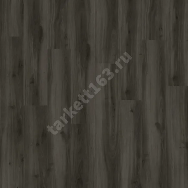 MODULEO NEXT ACOUSTIC 0.4 Tradition Oak 890