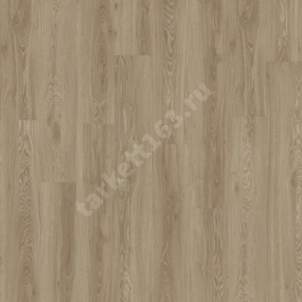 MODULEO NEXT ACOUSTIC 0.4 Vista Oak 450
