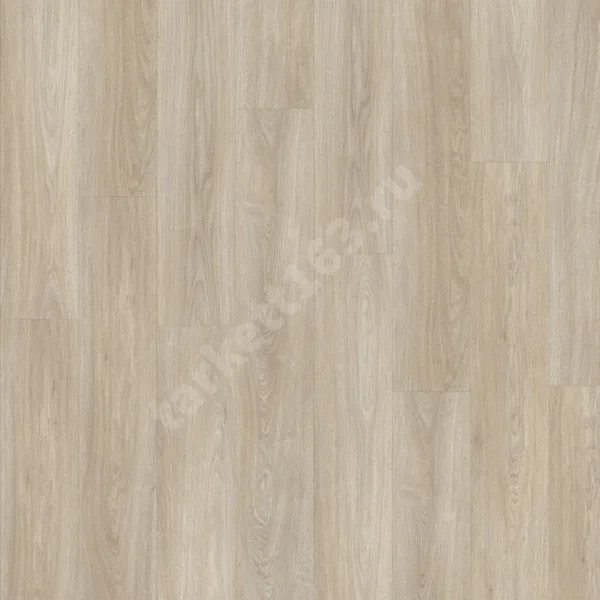 MODULEO NEXT 0.55 Noble Oak 236