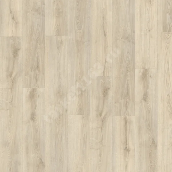 MODULEO NEXT 0.55 Shelby Oak 273
