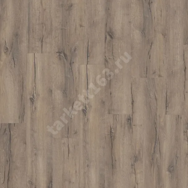 MODULEO NEXT 0.55 Highland Oak 869
