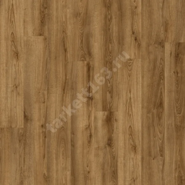 MODULEO NEXT 0.55 Shelby Oak 853
