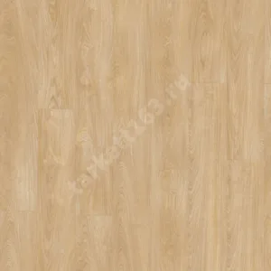 MODULEO NEXT 0.55 Royal Oak 282