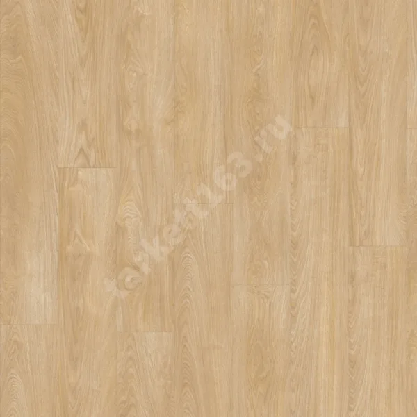 MODULEO NEXT 0.55 Royal Oak 282