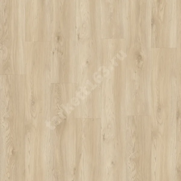 MODULEO NEXT 0.55 Torre Oak 248