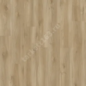 MODULEO NEXT 0.55 Torre Oak 847