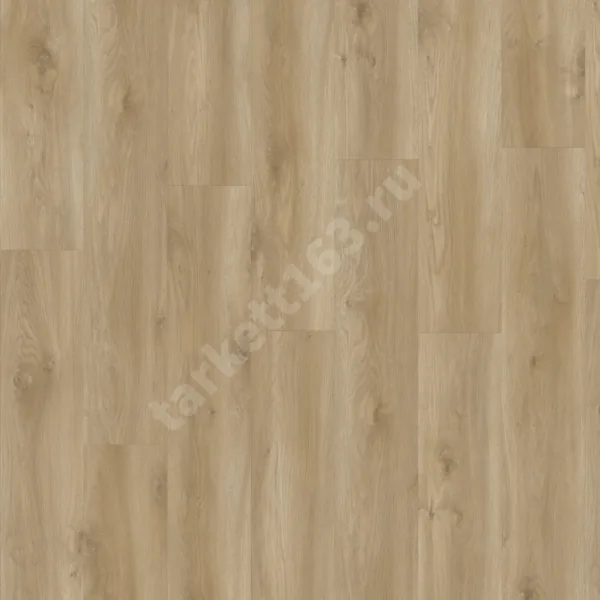 MODULEO NEXT 0.55 Torre Oak 847